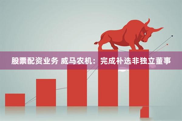 股票配资业务 威马农机：完成补选非独立董事