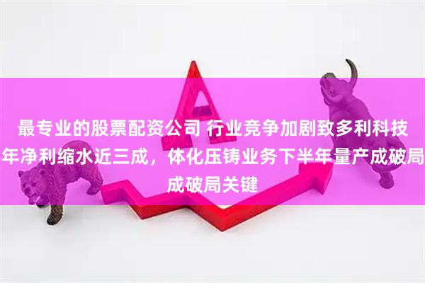 最专业的股票配资公司 行业竞争加剧致多利科技上半年净利缩水近三成，体化压铸业务下半年量产成破局关键